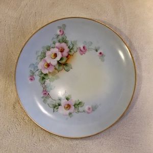Thomas Bavaria Light Blue Floral Plate VGUC